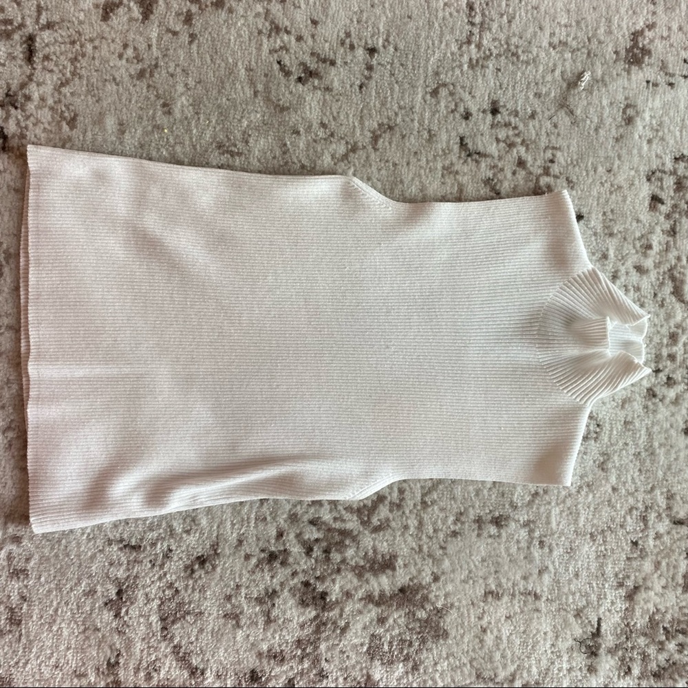 Zara sleeveless turtleneck top